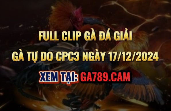 Gà Đá Giải CPC3 17/12/2024