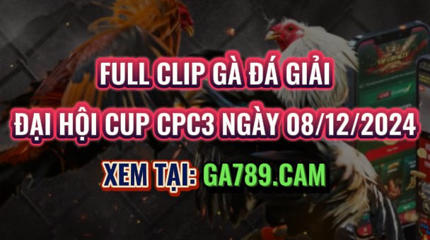 Gà Đá Giải CPC3 08/12/2024