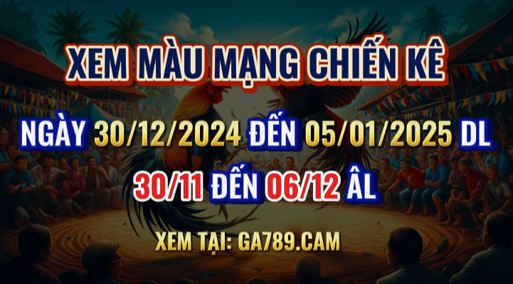 Màu Mạng Gà 30/12 Đến 05/01/2024