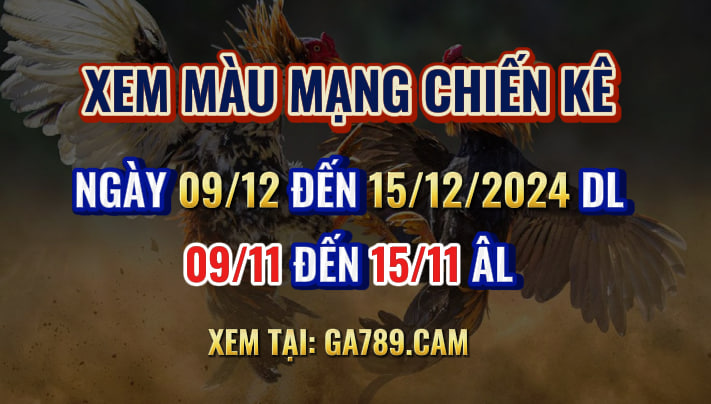 Màu Mạng Gà Đá 09/12 đến 15/12/2024